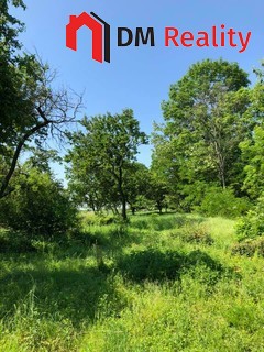 Prodej zahrady 5231 m2, Dalovice - Fotka 1