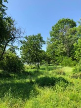 Prodej zahrady 5231 m2, Dalovice